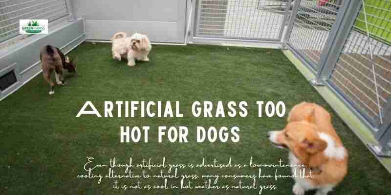 Artificial grass too hot for dogs