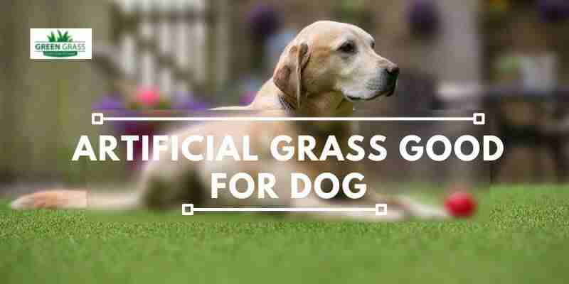 Artificial grass good for dog