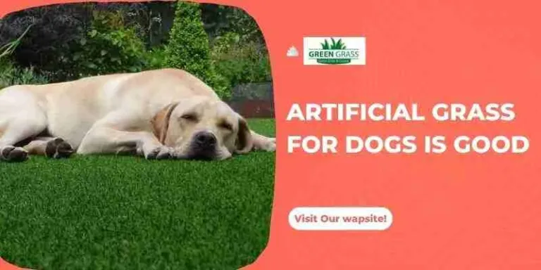 pros and cons of artificial grass with dogs
