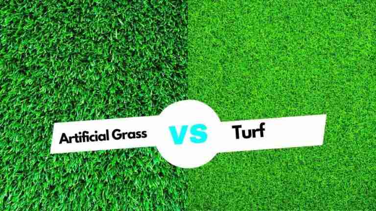 Artificial Grass vs Turf What's the Best Choice for Your Home or Business