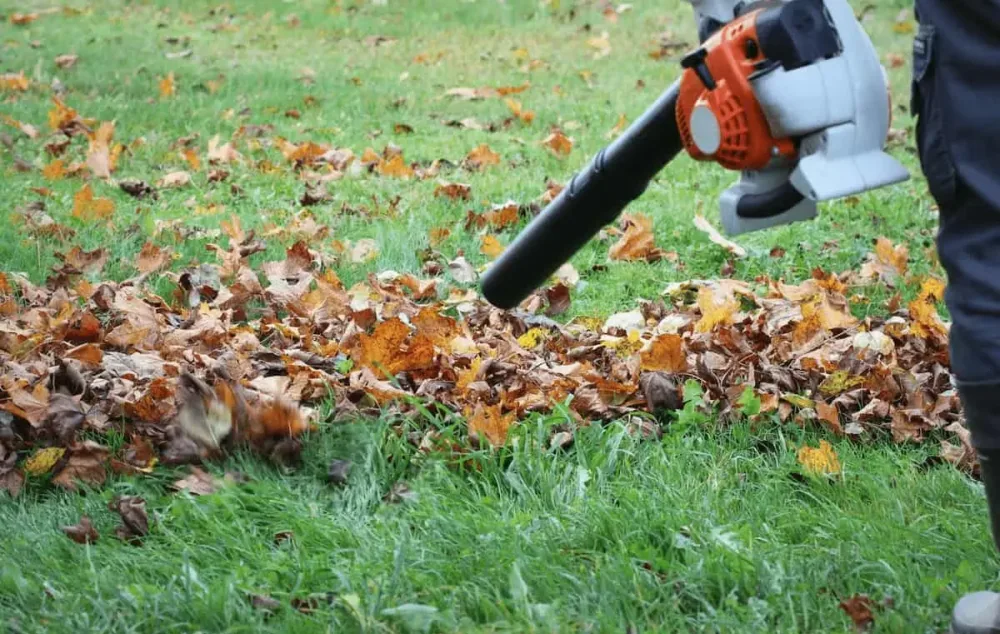 Leaf blower / vacuum cleaner