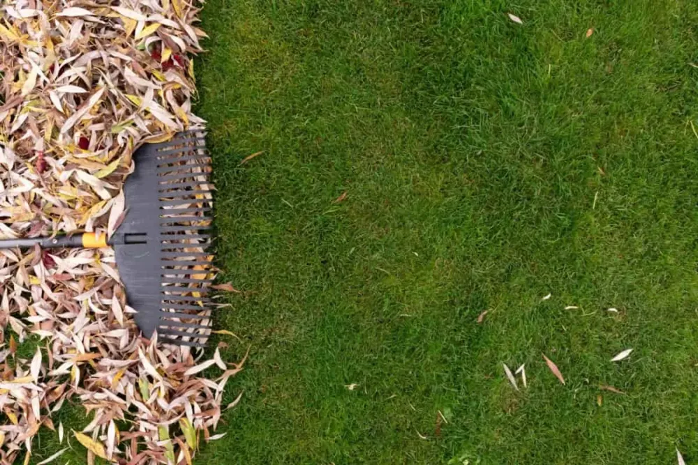 artificial grass cleaning brush