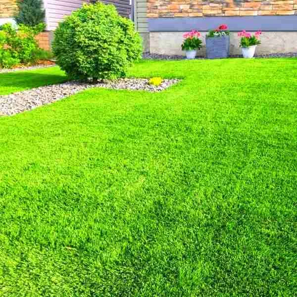 Lawn Artificial Grass