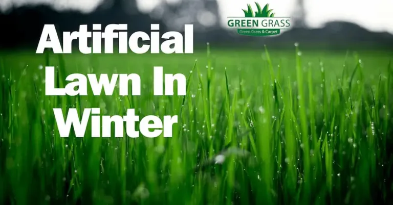 Artificial Lawn In Winter Dubai