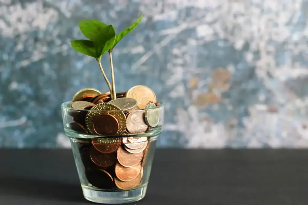 Cost Considerations