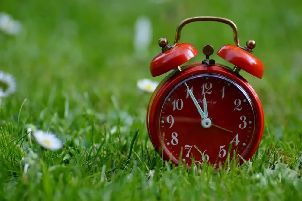 artificial grass vs real grass duration