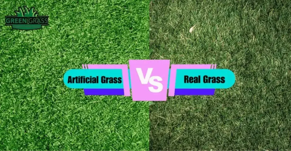 Artificial Grass vs Real Grass