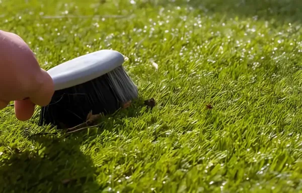 Brush Fake Grass