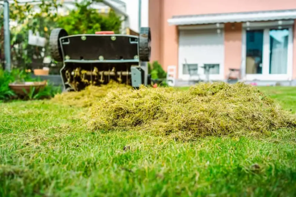 Aerating the soil