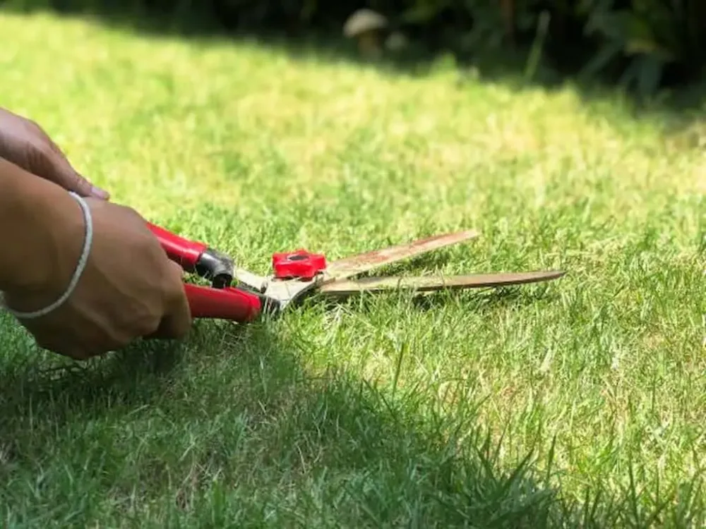 cutting grass