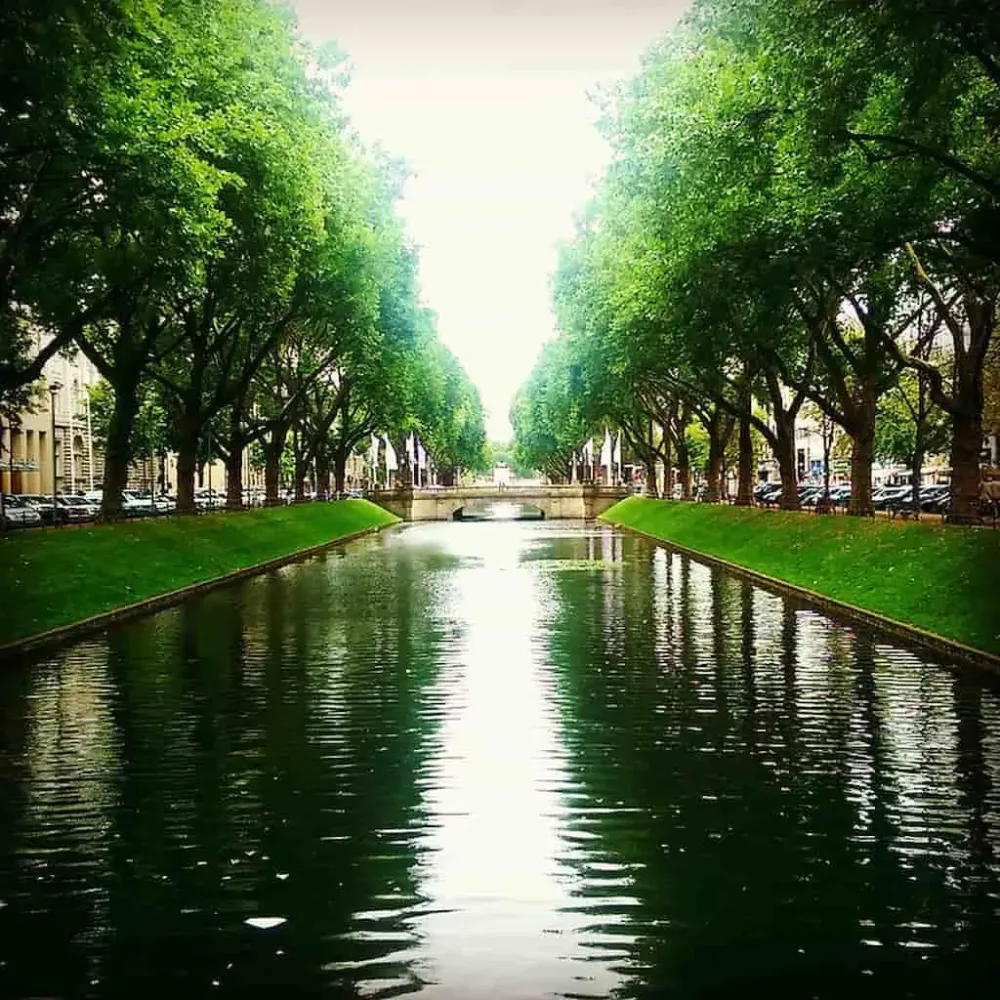 Synthetic Turf Conserve Dubai Water