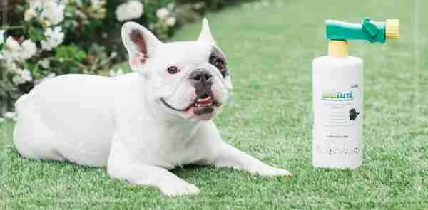 Artifical Turf Cleaner Pet Odor Eliminator